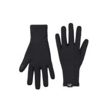Japanese direct mail ARCTERYX womens windproof warm gloves 1189044900002