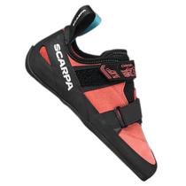 Hong Kong Direct Mail SCARPA Outdoor Mountaineering and Rock Climbing 70082002ROSA