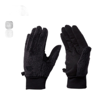 Direct mail from Japan the north face mens gloves