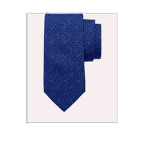 Hong Kong direct mail SALVATORE FERRAGAMO mens tie 350933768141