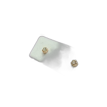 Korean direct mail GOLDENDEW earrings
