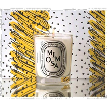 Hong Kong direct mail Diptyque Diptyque scented candle Mimosa fragrance comfortable and fresh daily 190G