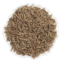 Hong Kong Straight Hair Frontier Co-Op Whole Cumin Seed Seasoning Authentic Flavor Spicy Aftertaste 454g