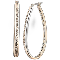 (Direct mail from the United States)givenchy universal earrings