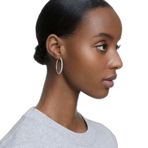 Hong Kong direct mail SWAROVSKI earrings 5389432