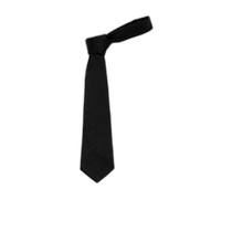 Hong Kong direct mail EMPORIO ARMANI mens tie 3400753F63400020