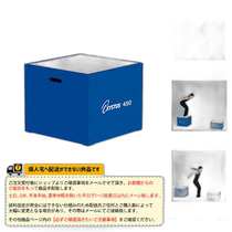 Japanese direct mail TOEI all sports training equipment Step Box 45 (H-7151)