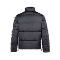 Hong Kong direct mail trendy luxury Emporio Armani mens logo down jacket