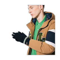 Japanese errand running LACOSTE French crocodile thread knitted gloves Navy FREE RV001J-99