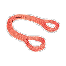 Ritz errand MAMMUT Mammoth 8 0 alpine classic rope Classictandardorangewhite