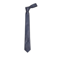 Hong Kong direct mail EMPORIO ARMANI mens tie 3402494R63200036