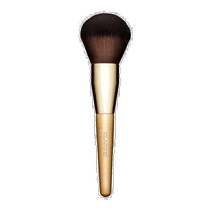 European Direct Mail Clarins Powder Brush