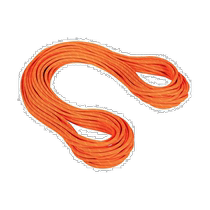 Ritz errand MAMMUT Mammoth 9 8 rock wall dry rope Drytandardafetyorangeboa5