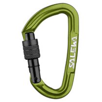 Hong Kong Direct Mail SALEWA Outdoor Mountaineering and Rock Climbing 5482134372509EFLUOGREEN