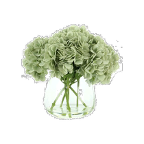 creative displays creative display Seafoam hydrangea flower arrangement - seafoam (美