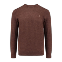 Hong Kong direct mail POLO RALPH LAUREN mens knitted sweater 710946143008