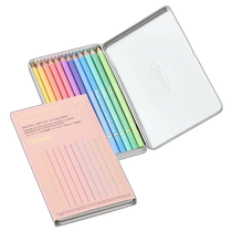 Japan direct mail Holbein artist colored pencil pastel tone set OP903