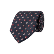 Hong Kong direct mail ETRO mens tie 1647597338647045