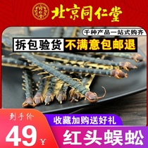 Tong Ren Tang red-headed centipede 10 grams 10 (15-16cm) hundred-footed insect Millipede hundred-footed Wu Gongtian