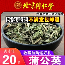 Tongrentang natural sulfur-free dandelion whole root dried fresh dry goods 500g Kert-grade wild sulfur-free Pentin