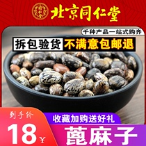 Tongrentang Chinese herbal castor bean wild fresh castor bean castor bean hemp 500g