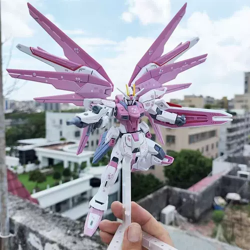 Джет модель HG New Life Fighting FreeHalling Meeton Racing Star Winds и Lingda Model Model Boys