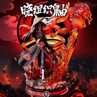 Цветная блистерная коробка Akatsuki Weasel (высота