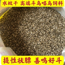 Special grade dry water mosquito Thrush bird insectivorous Sixi bird food improving feed Thrush feed water mosquito