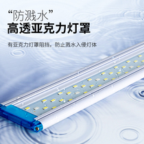 Fish tank led lamp holder grass cylinder lamp energy saving splash water Lighting light Aquarium led lamp holder lamp fish aquatic grass lamp