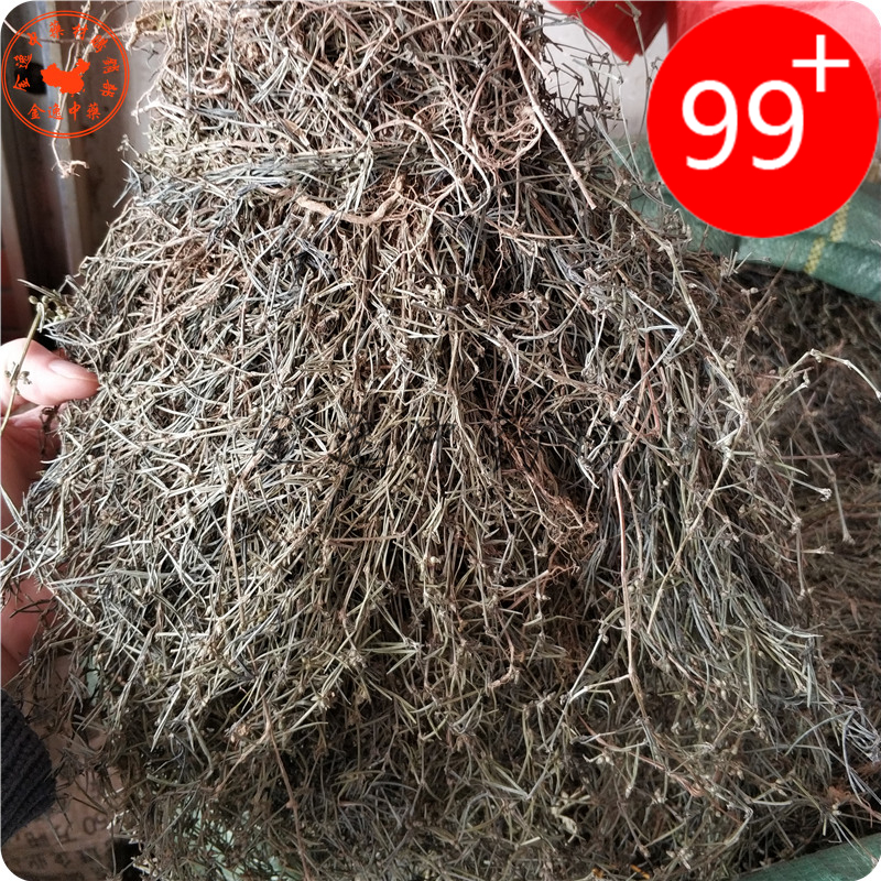 Guangxi Qianpindu Mountain Snake Tongue 1000g Olded Tongue Grass Usra Bone Serpent Tongue 2 catties