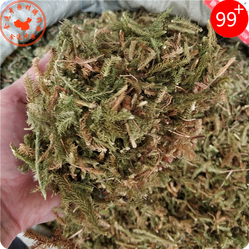 Chinese herbal medicine stretched grass 1000g gluten-bone grass Shu fascia stone pine lions Chinese herbal medicine 2 catties