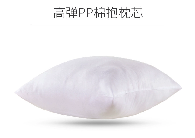 Gối cotton thêu Mỹ sang trọng không có lõi vuông Bắc Âu gối đệm phòng khách gối sofa - Trở lại đệm / Bolsters gối sofa đẹp