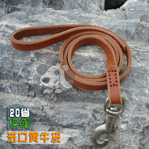 Sewing Scallops Leather Traction Belt Neckline Dermis Gold Fur Genuine Leather Traction Rope Sleeves Large Canine Dog Chain 20 Province