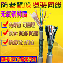 Anti-rat bite sheathed shielding superfife 0-5 oxygen-free copper network cable outdoor can be buried with waterproof sunscreen and anti-ageing