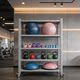 Wheeled Gym Equipment Storage Rack for Kettlebells, Dumbbells, Yoga Gear, and Sports Equipment
