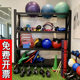 Gym Personal Trainer Equipment Storage Rack for Home Use Kettlebells Dumbbells Medicine Balls Yoga Sports Equipment Storage Rack