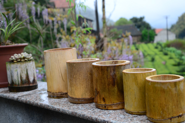 Chậu hoa tre, tre già, ống tre, chậu hoa, bình hoa, thích hợp cho thịt, tre khô - Vase / Bồn hoa & Kệ chum sành trồng cây