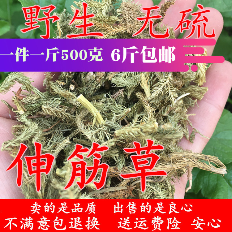 Stretch gluten-relaxing grass ribs Bones Grass Stone Pine Lion Tail Dry 500 gr Another sale of polyphylla Puzzle Rinderbone Grass