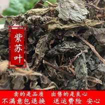 Perilla leaf Chinese medicinal materials natural raw sun-dried perilla leaf perilla leaf medicinal dry goods for removing fishy smell 500g dry goods wild