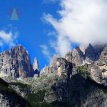 Autumn Penny mobile phone wallpaper plain abstract geometric flower lines PNG pattern cosmetics packaging printing ai