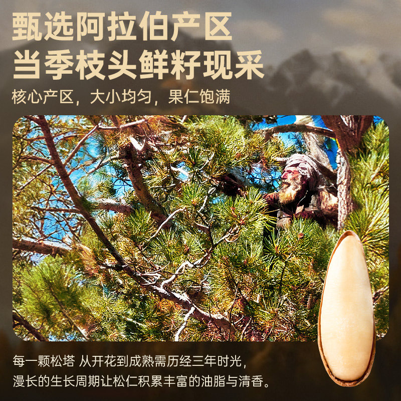 Every Fruit Time Hand-Peeled Brazilian Pine Nuts 500g New Stock Large Kernels Afghan Long Pine Nuts New Year Nuts Snacks