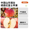 Every Fruit Time Dried Apples 500g Yantai Apple Slices No Saccharin Added Dried Fruit Preserved Fruit Snacks for Pregnant Women