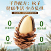 Every Fruit Time Roasted Pine Nuts 500g Original Flavor Northeast Non-Fried Hand-Peeled Open Pine Nuts New Year Nuts Snack