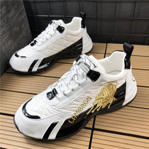 Old Daddy Shoes 2021 New Spring Men Sports Casual Shoes Han Edition Trend Low Bunch Shoes Men Shoes Nets Red Explosive Shoes