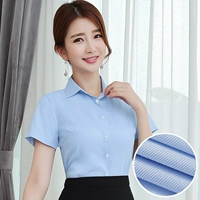 [Клык Лин] Синие косое короткие рукава