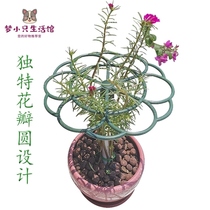 Sun flower-shaped bracket flower rack lollipop support fixed frame balcony single-layer multi-layer climbing vine crab claw orchid grafting