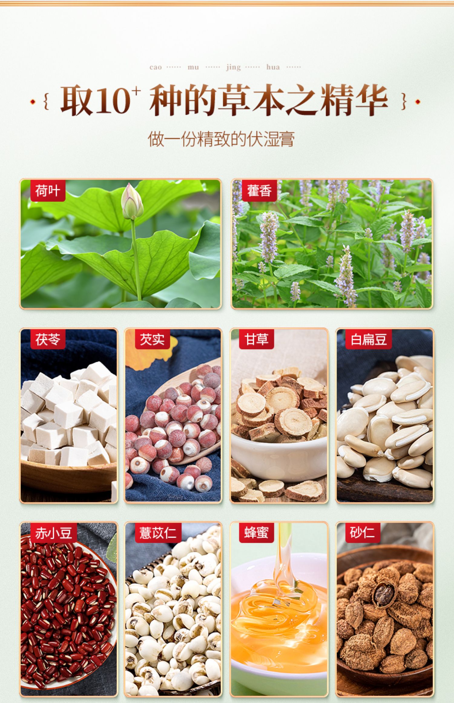 【奥祥堂】茯伏湿膏300g