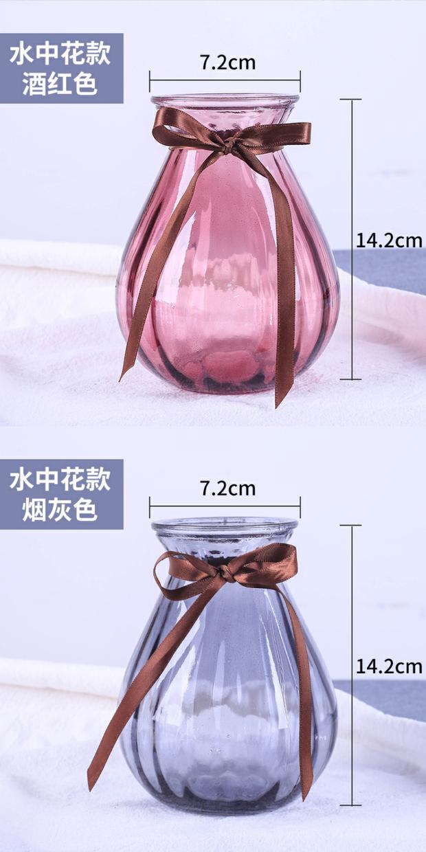 9,9 nhân dân tệ vận chuyển cây thủy canh sáng tạo dày bình thủy tinh phòng khách trang trí cảnh quan cắm bình trang trí máy tính để bàn - Trang trí nội thất decor nhà
