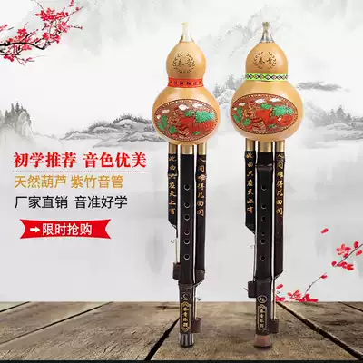 Hulusi musical instrument beginner zero basic children Primary School students adult self-study c tune female Drop B deployment protection box