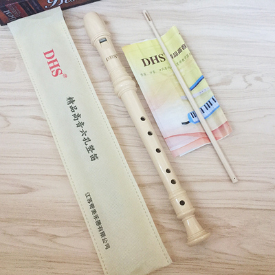 【附电子教材】奇美中音竖笛6孔